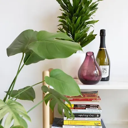 River House Grana Belgrad